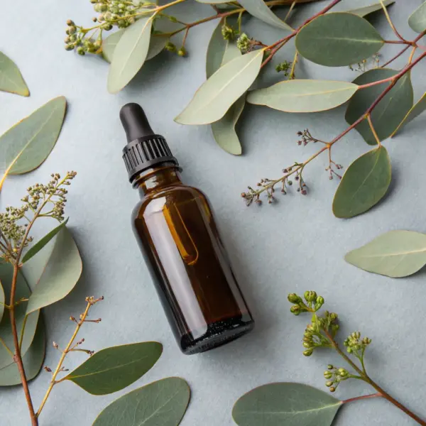 Eucalyptus Essential Oil - Respiratory